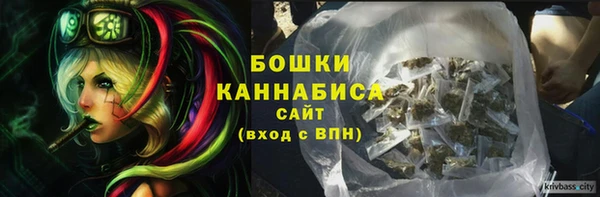 крисы Осинники