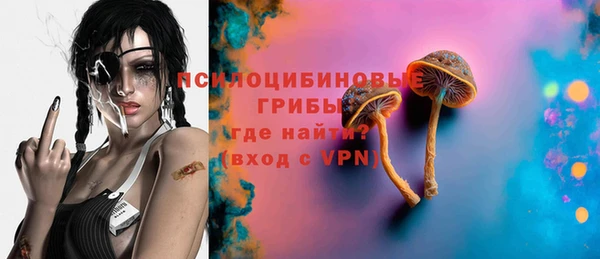марки lsd Болотное