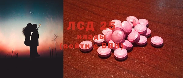 крисы Осинники