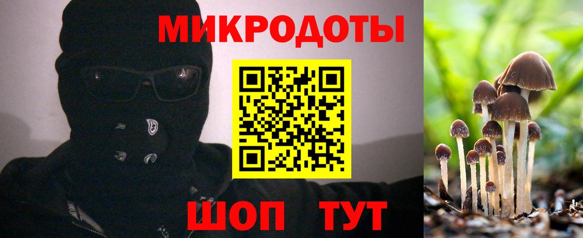 Псилоцибиновые грибы MAGIC MUSHROOMS Кушва